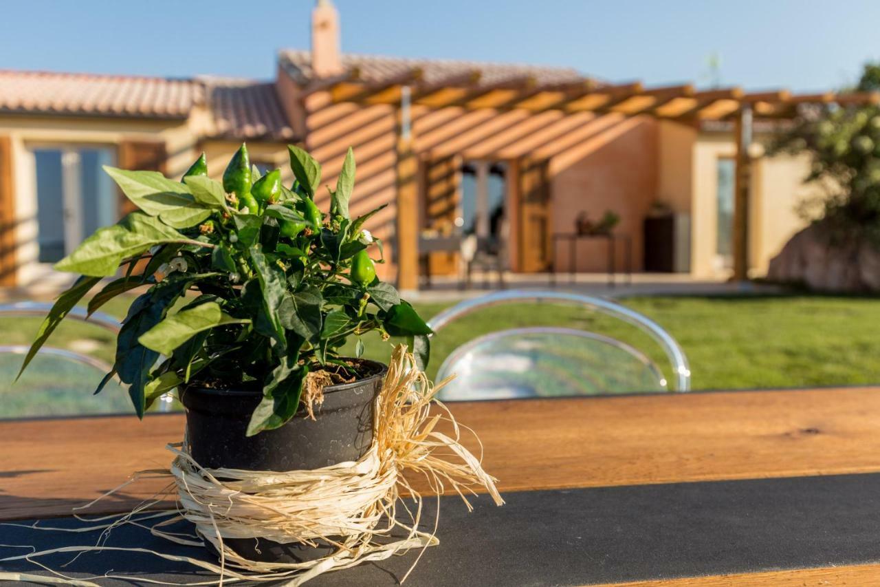 Tenuta Petra Bianca Palau Extérieur photo